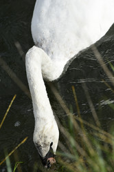 Similar image 21652879