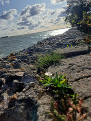 Similar image 21652883