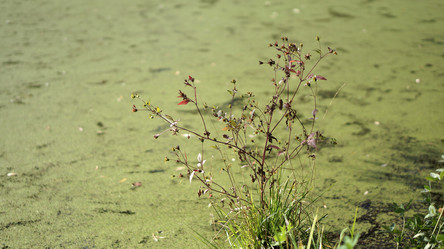 Similar image 21657589