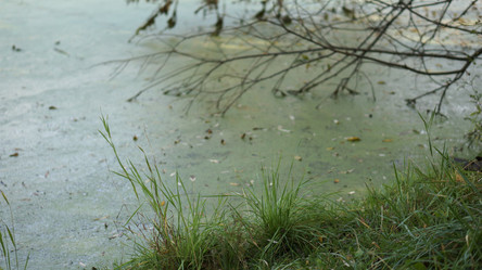 Similar image 21657591