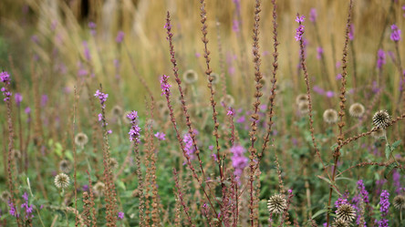 Similar image 21657592