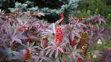 Similar image 21657593