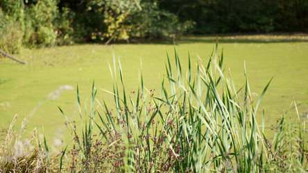 Similar image 21657403