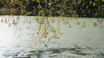 Similar image 21657404