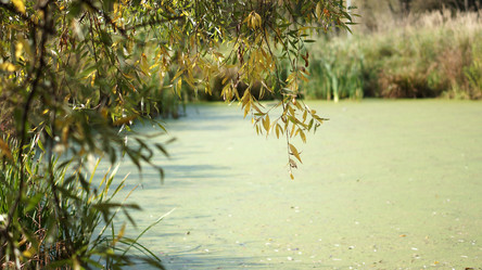 Similar image 21657405