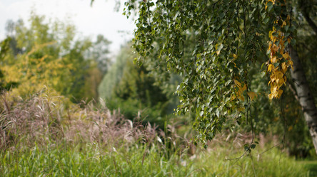 Similar image 21657406