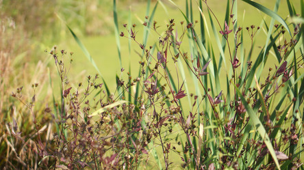 Similar image 21657407