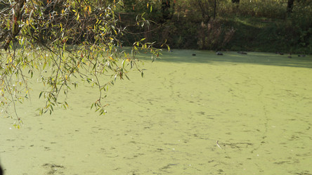 Similar image 21657408