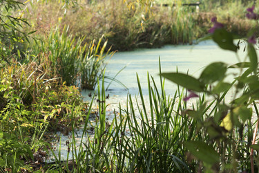 Similar image 21657409