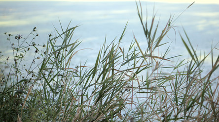 Similar image 21657410