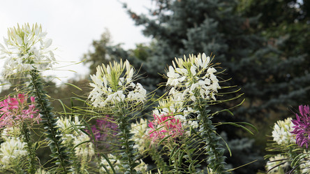 Similar image 21657412