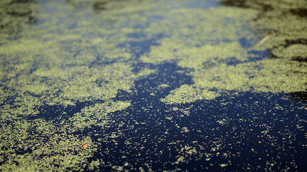 Similar image 21657413