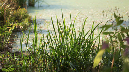 Similar image 21657414