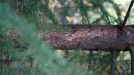 Similar image 21657415