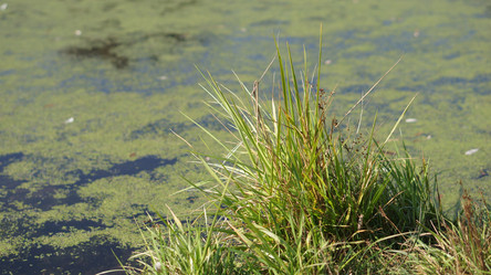 Similar image 21657416