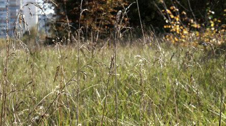 Similar image 21657417