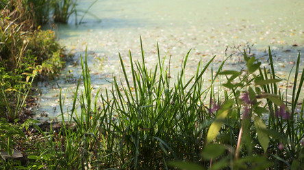 Similar image 21657418