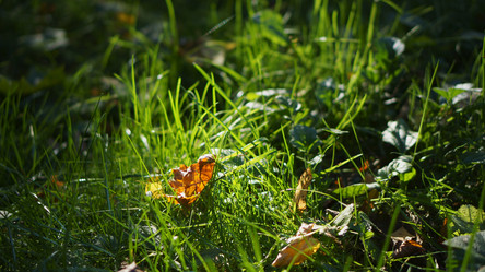 Similar image 21657419