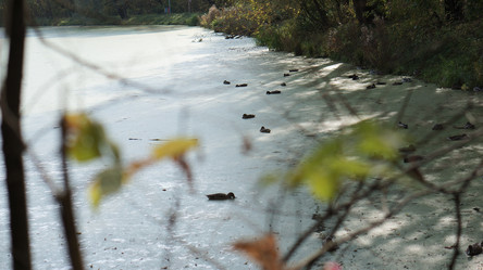 Similar image 21657420