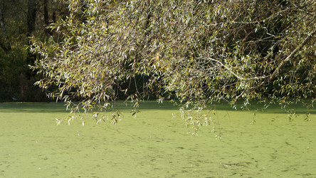 Similar image 21657423