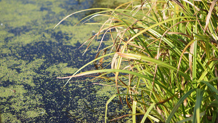 Similar image 21657424