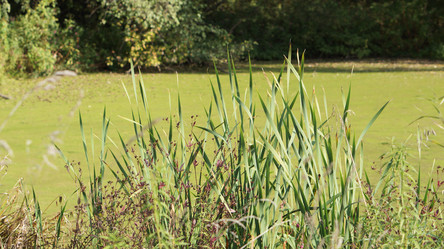 Similar image 21657426