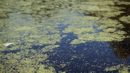 Similar image 21657427