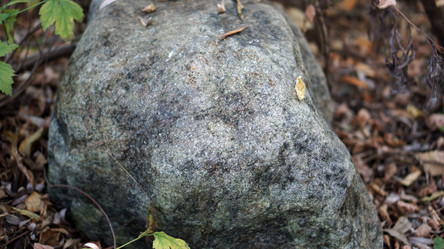 Similar image 21657428