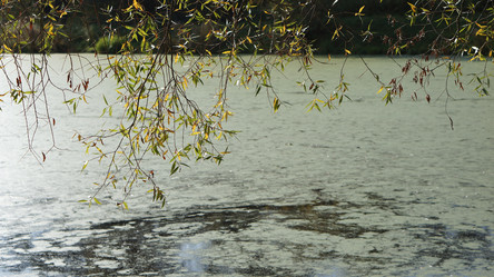 Similar image 21657429