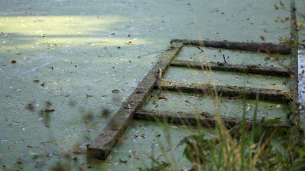 Similar image 21657430