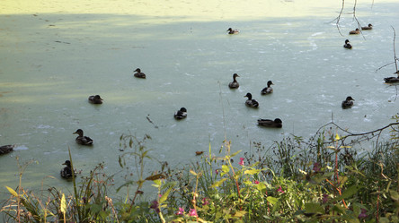 Similar image 21657431