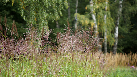 Similar image 21657433