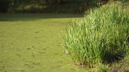 Similar image 21657435