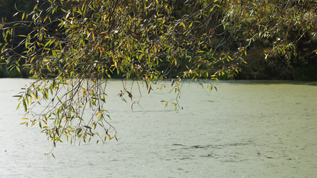 Similar image 21657436