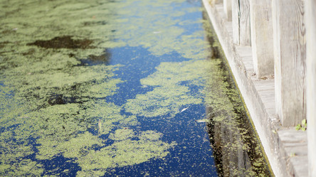 Similar image 21657439