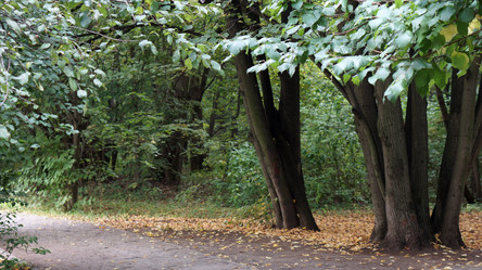 Similar image 21657440