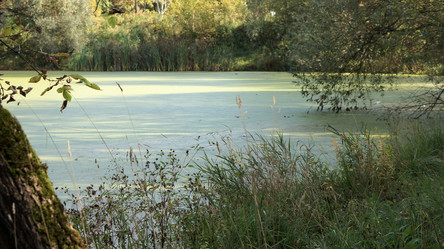 Similar image 21657442