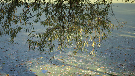 Similar image 21657443