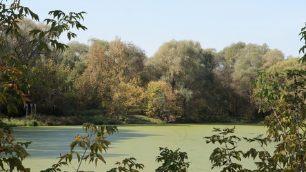 Similar image 21657444