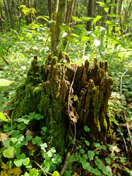 Similar image 21652344