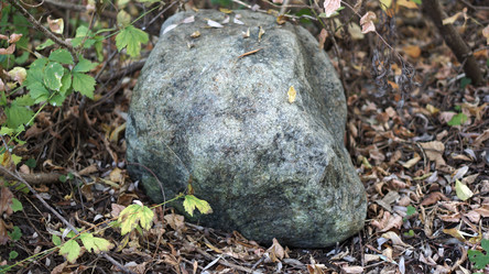 Similar image 21657447