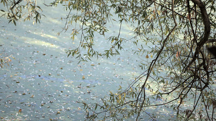 Similar image 21657448