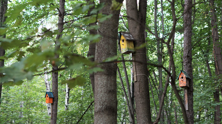 Similar image 21657449