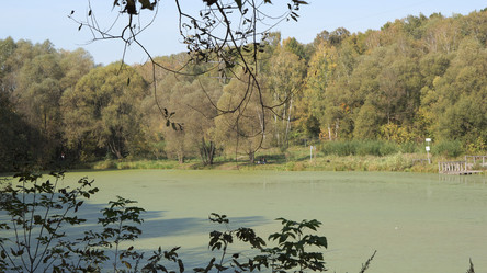 Similar image 21657450