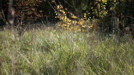 Similar image 21657451