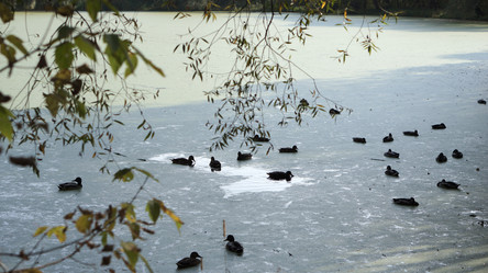 Similar image 21657452