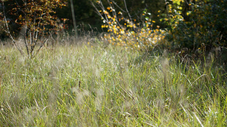 Similar image 21657453