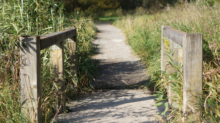 Similar image 21657454