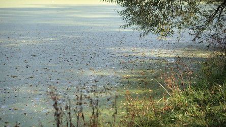 Similar image 21657455