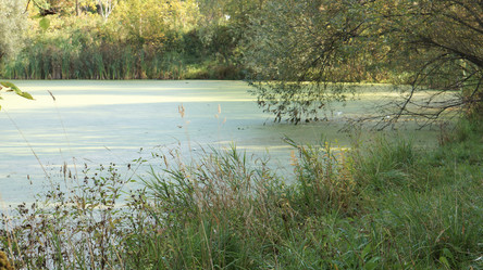 Similar image 21657457